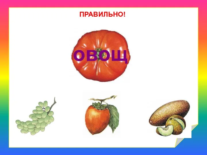 ПРАВИЛЬНО! овощ