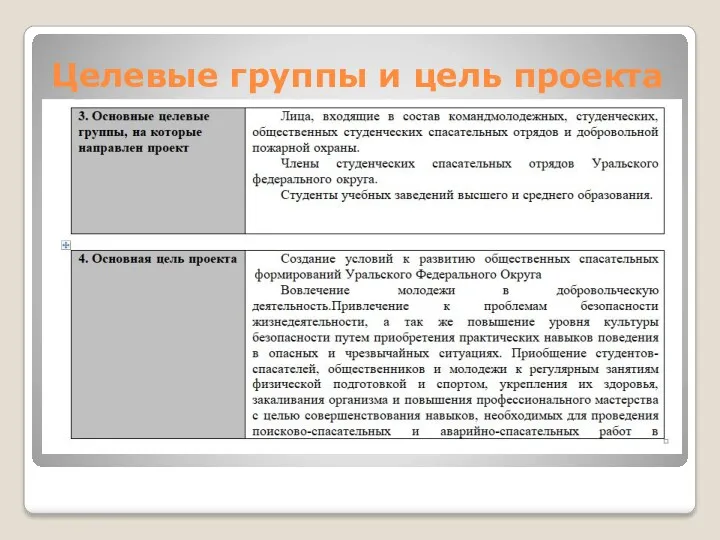 Целевые группы и цель проекта