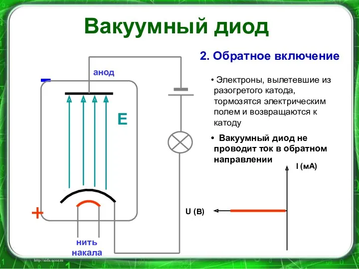 нить накала - - - - - - - катод