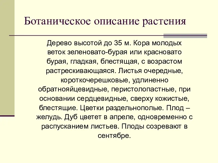 Ботаническое описание растения Дерево высотой до 35 м. Кора молодых