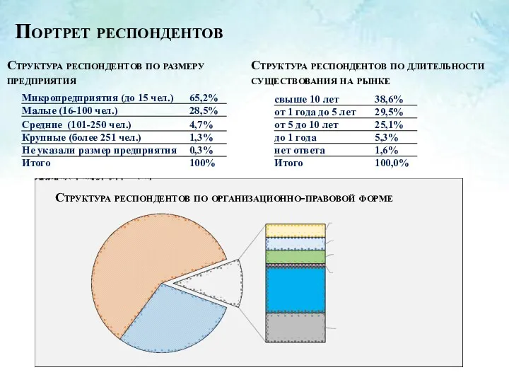 Портрет респондентов Структура респондентов по размеру предприятия Структура респондентов по