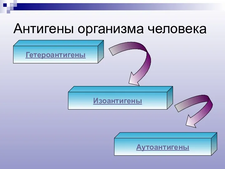 Антигены организма человека Гетероантигены Изоантигены Аутоантигены