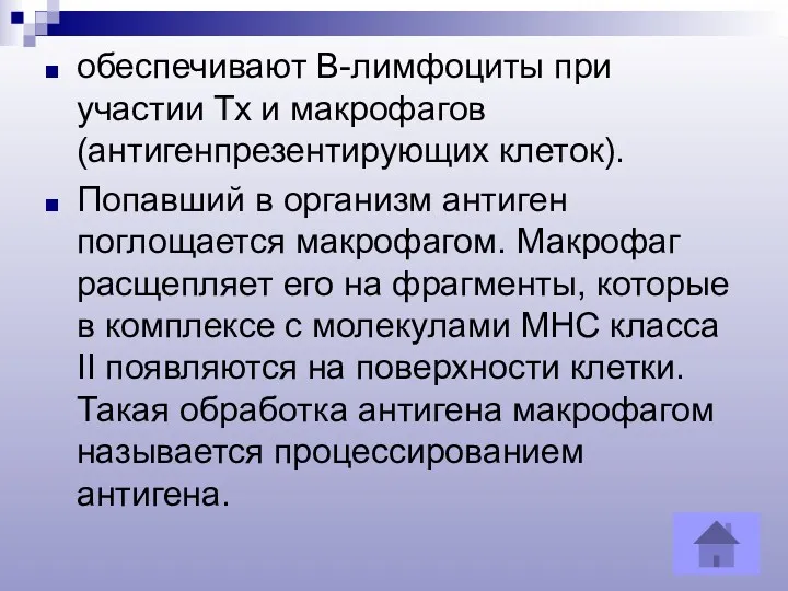 обеспечивают В-лимфоциты при участии Тх и макрофагов (антигенпрезентирующих клеток). Попавший