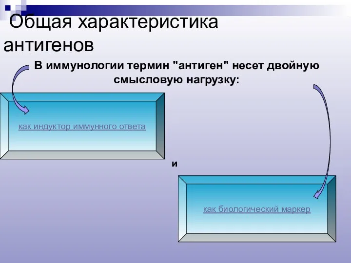 Общая характеристика антигенов В иммунологии термин "антиген" несет двойную смысловую