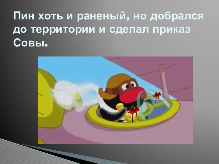 Пин хоть и раненый, но добрался до территории и сделал приказ Совы.