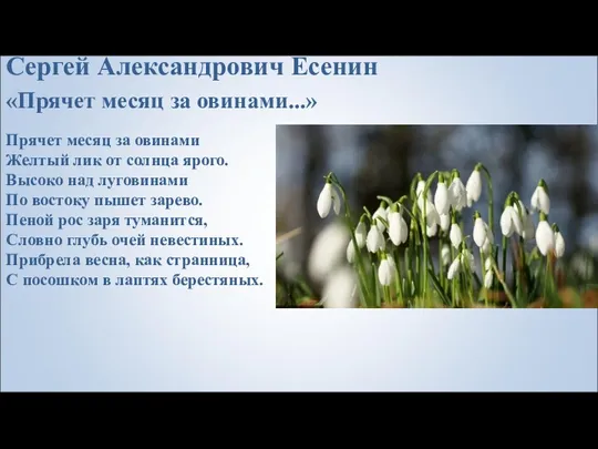 Сергей Александрович Есенин «Прячет месяц за овинами...» Прячет месяц за