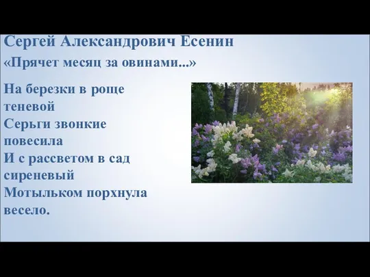 Сергей Александрович Есенин «Прячет месяц за овинами...» На березки в