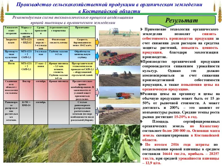 Рекомендуемая схема технологического процесса возделывания яровой пшеницы в органическом земледелии