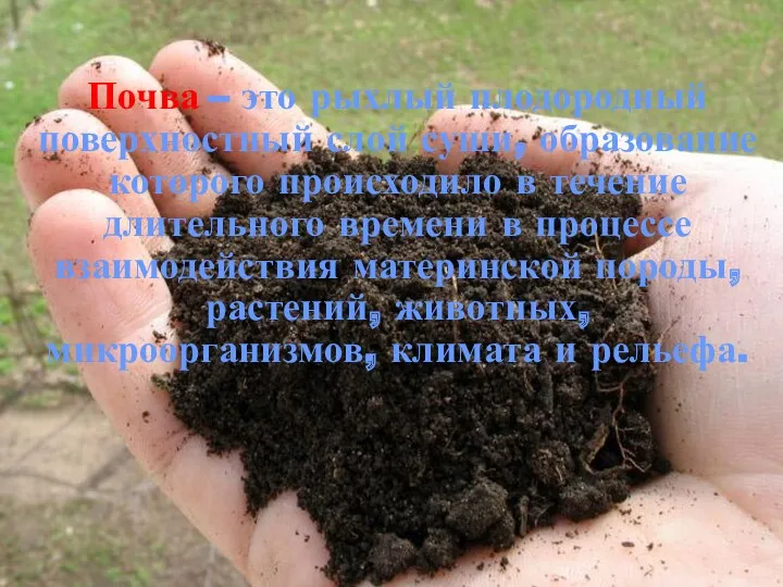 Почва – это рыхлый плодородный поверхностный слой суши, образование которого