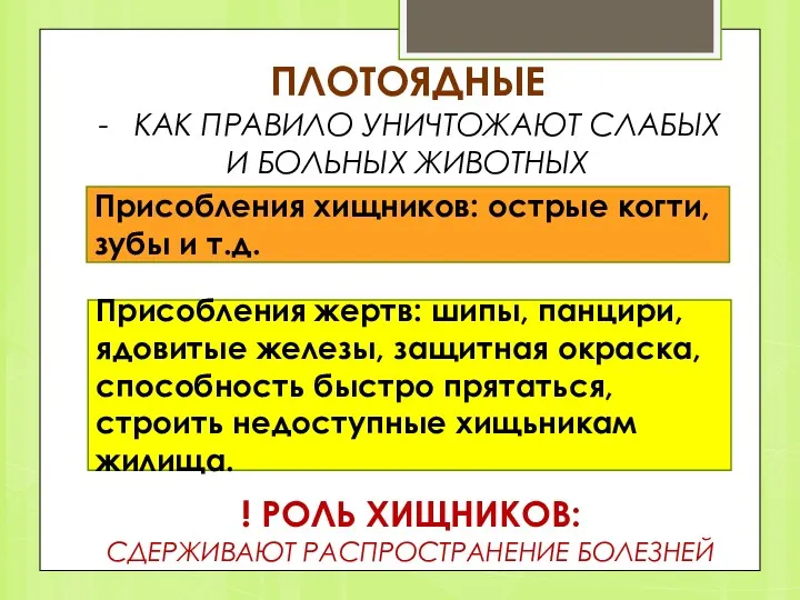 ПЛОТОЯДНЫЕ КАК ПРАВИЛО УНИЧТОЖАЮТ СЛАБЫХ И БОЛЬНЫХ ЖИВОТНЫХ Присобления хищников: