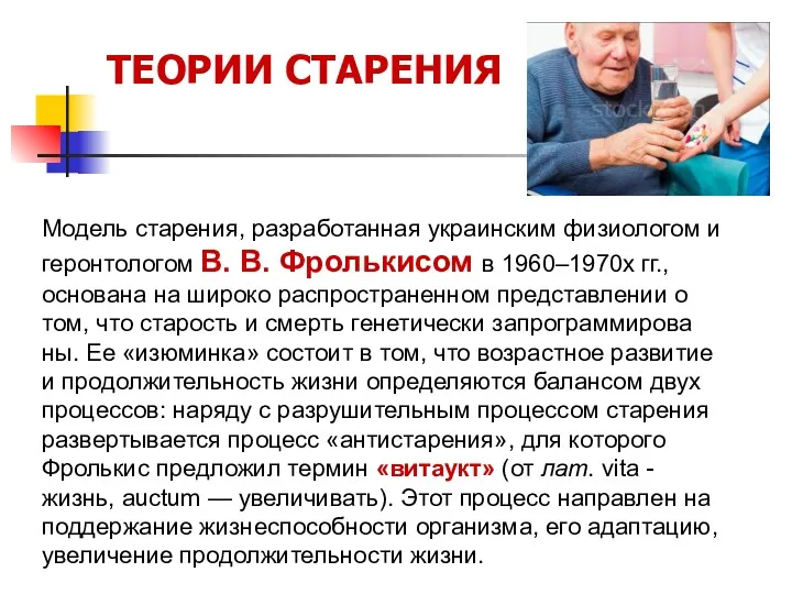 ТЕОРИИ СТАРЕНИЯ Модель старения, разработанная украинским физиологом и геронтологом В.