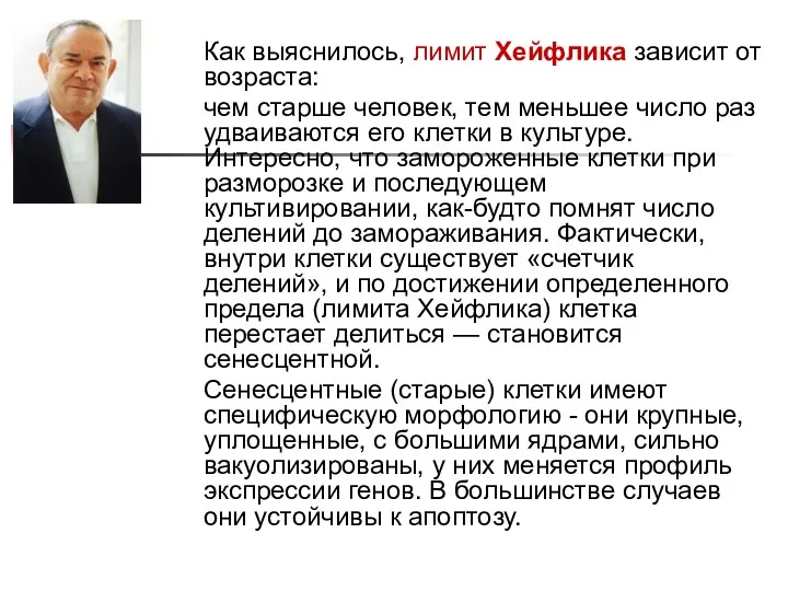 Как выяснилось, лимит Хейфлика зависит от возраста: чем старше человек,