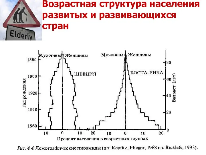 Возрастная структура населения развитых и развивающихся стран