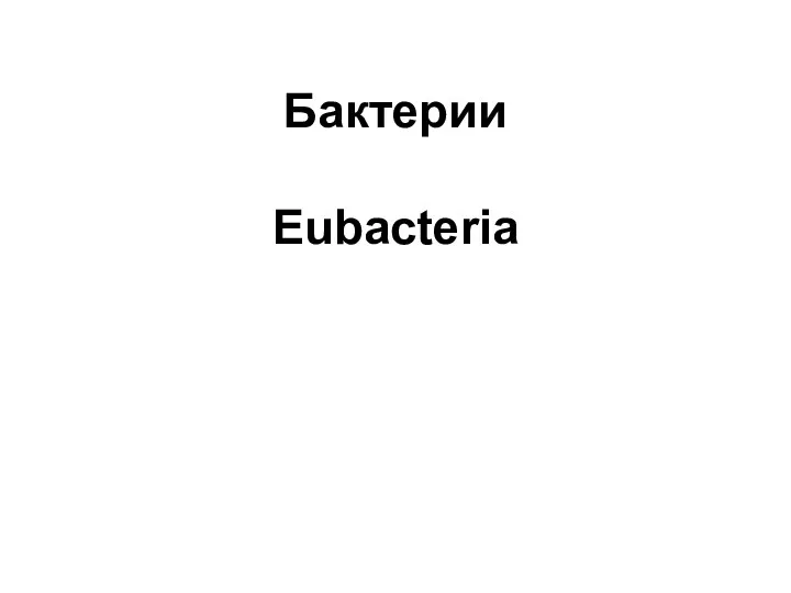 Бактерии Eubacteria