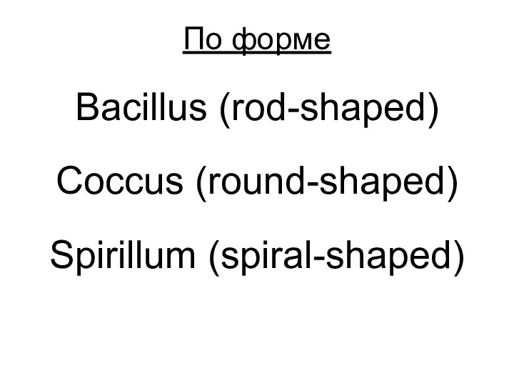 По форме Bacillus (rod-shaped) Coccus (round-shaped) Spirillum (spiral-shaped)