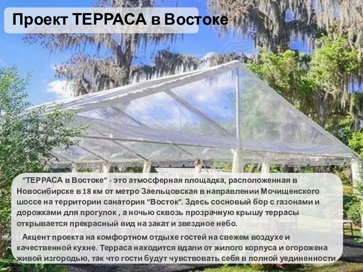 Проект ТЕРРАСА в Востоке “ТЕРРАСА в Востоке” - это атмосферная площадка, расположенная в