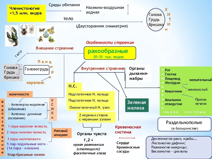 п и щ е в а Р и т е