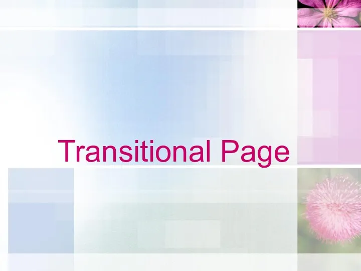 Transitional Page