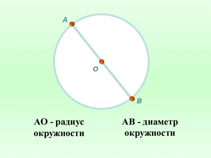 АО - радиус окружности О А АВ - диаметр окружности В