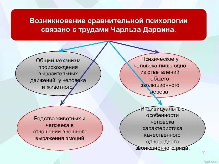 Возникновение сравнительной психологии связано с трудами Чарльза Дарвина. Общий механизм