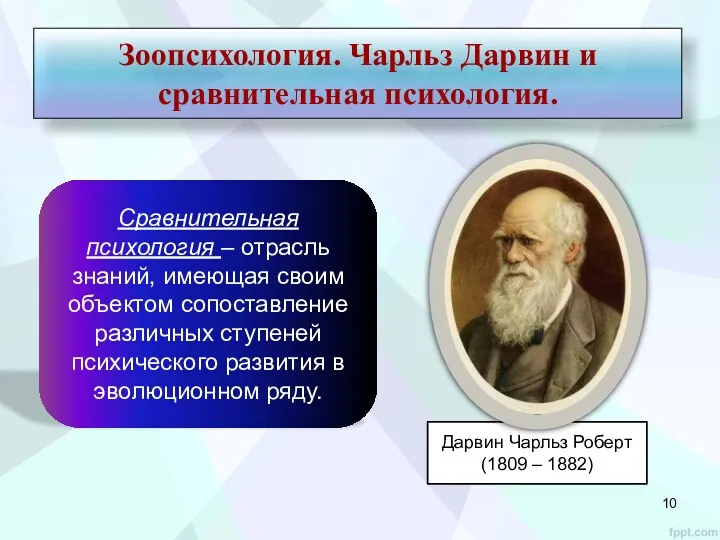 Зоопсихология. Чарльз Дарвин и сравнительная психология. Сравнительная психология – отрасль