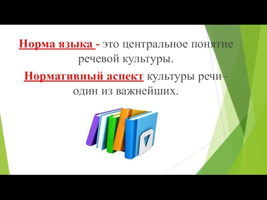 Норма языка - это центральное понятие речевой культуры. Нормативный аспект культуры речи– один из важнейших.