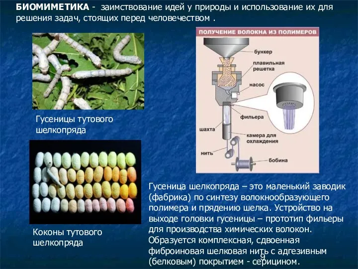 БИОМИМЕТИКА - заимствование идей у природы и использование их для