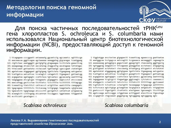 Методология поиска геномной информации Для поиска частичных последовательностей тРНКLeu гена