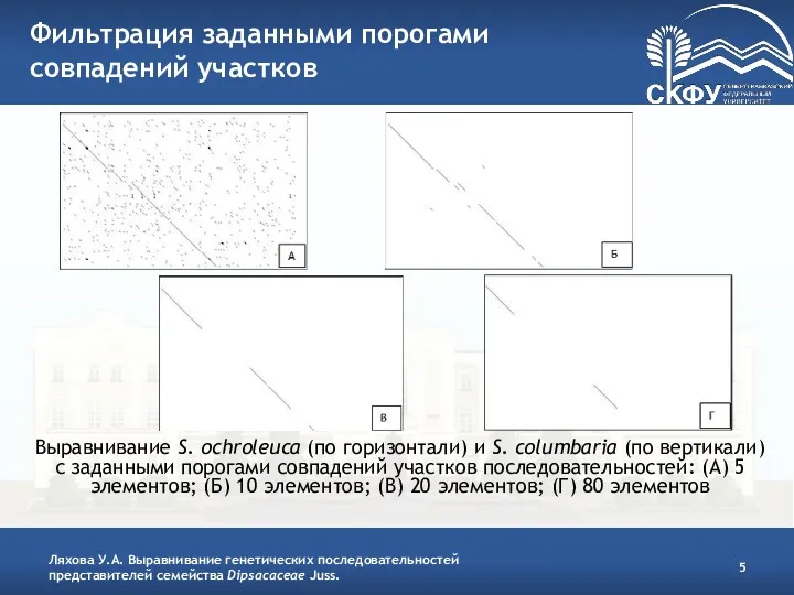 Фильтрация заданными порогами совпадений участков Ляхова У.А. Выравнивание генетических последовательностей