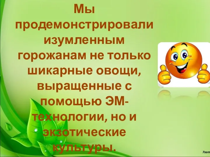 Мы продемонстрировали изумленным горожанам не только шикарные овощи, выращенные с помощью ЭМ-технологии, но и экзотические культуры.