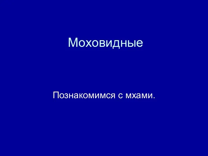 Моховидные Познакомимся с мхами.