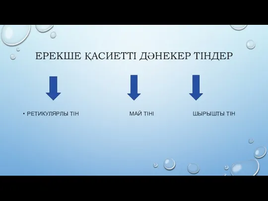 ЕРЕКШЕ ҚАСИЕТТІ ДӘНЕКЕР ТІНДЕР РЕТИКУЛЯРЛЫ ТІН МАЙ ТІНІ ШЫРЫШТЫ ТІН