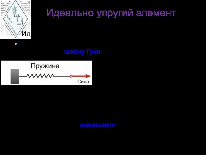 Идеально упругий элемент Идеально упругий элемент – пружина. Процесс деформации