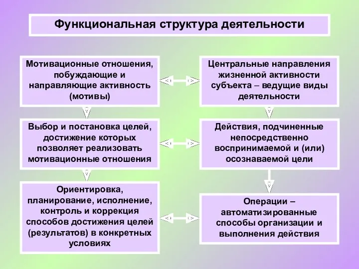Функциональная структура деятельности Мотивационные отношения, побуждающие и направляющие активность (мотивы) Центральные направления жизненной
