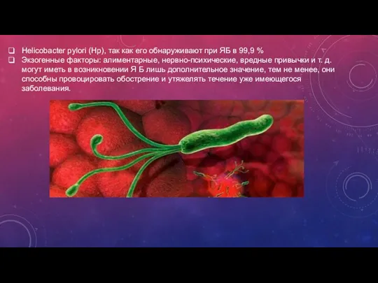 Helicobacter pylori (Нр), так как его обнаруживают при ЯБ в