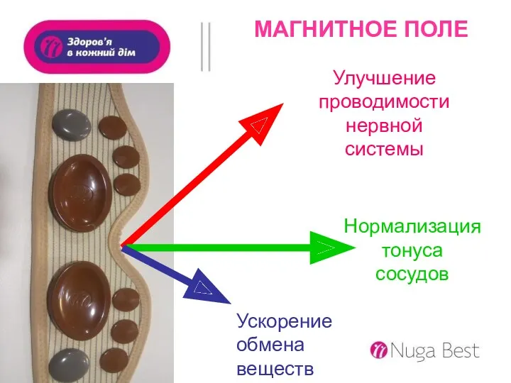 МАГНИТНОЕ ПОЛЕ Улучшение проводимости нервной системы Нормализация тонуса сосудов Ускорение обмена веществ