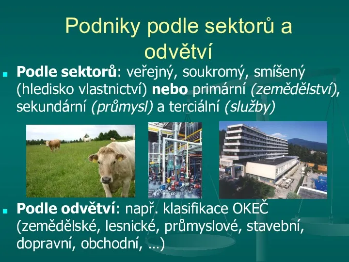 Podniky podle sektorů a odvětví Podle sektorů: veřejný, soukromý, smíšený