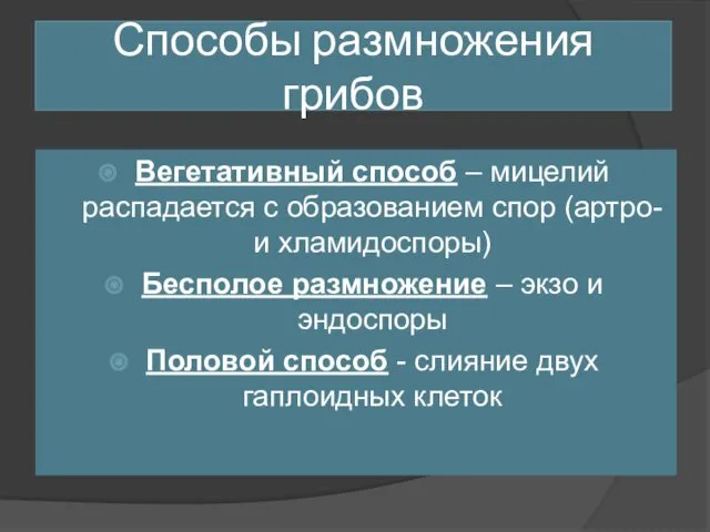 Способы размножения грибов Вегетативный способ – мицелий распадается с образованием