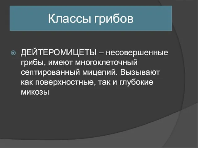 Классы грибов ДЕЙТЕРОМИЦЕТЫ – несовершенные грибы, имеют многоклеточный септированный мицелий.