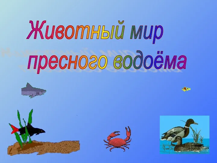 Животный мир пресного водоёма