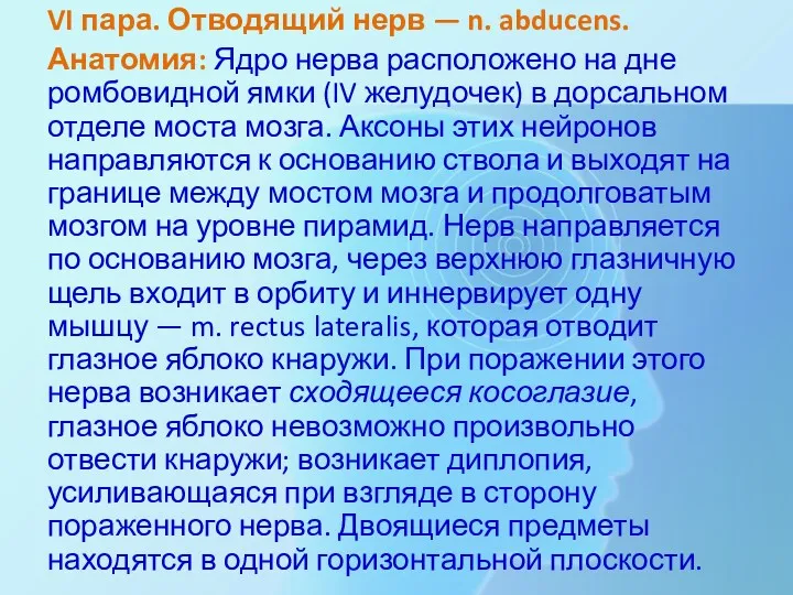 VI пара. Отводящий нерв — n. abducens. Анатомия: Ядро нерва