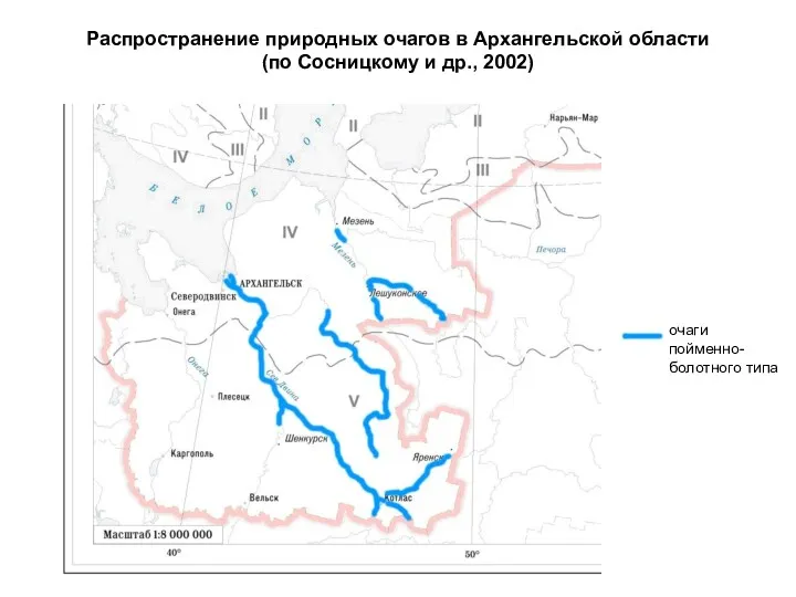 Распространение природных очагов в Архангельской области (по Сосницкому и др., 2002) очаги пойменно-болотного типа