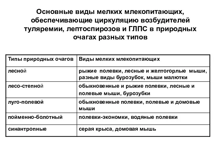 Основные виды мелких млекопитающих, обеспечивающие циркуляцию возбудителей туляремии, лептоспирозов и ГЛПС в природных очагах разных типов