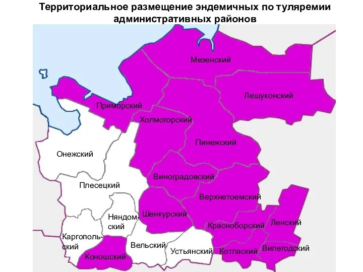 Территориальное размещение эндемичных по туляремии административных районов Мезенский Лешуконский Пинежский