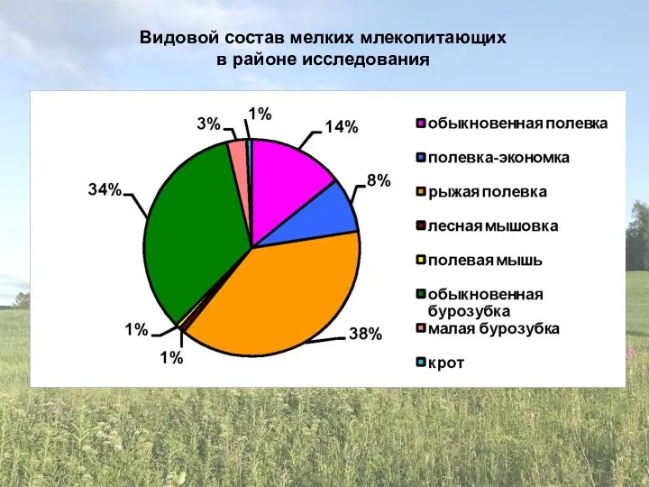 Видовой состав мелких млекопитающих в районе исследования