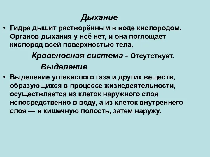 Дыхание Гидра дышит растворённым в воде кислородом. Органов дыхания у