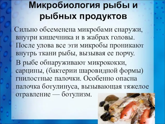 Микробиология рыбы и рыбных продуктов Сильно обсеменена микробами снаружи, внутри кишечника и в