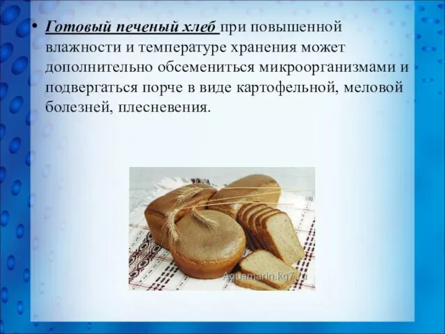 Готовый печеный хлеб при повышенной влажности и температуре хранения может дополнительно обсемениться микроорганизмами
