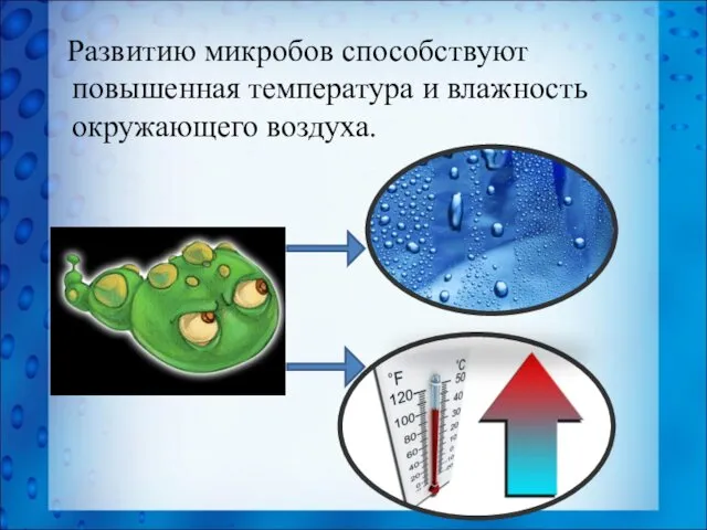 Развитию микробов способствуют повышенная температура и влажность окружающего воздуха.