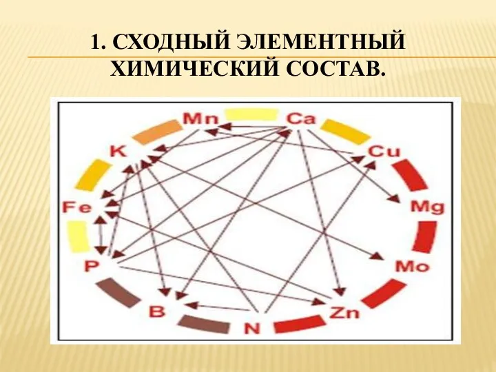 1. СХОДНЫЙ ЭЛЕМЕНТНЫЙ ХИМИЧЕСКИЙ СОСТАВ.